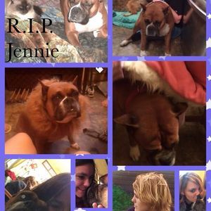 Meet your Posher, Crystal